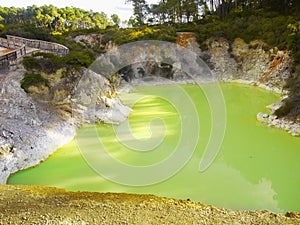 Thermal Lake, Rotorua, New Zealand